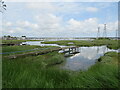 SY9990 : Pontoon at Holes Bay, Poole by Malc McDonald