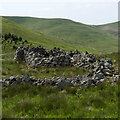 NT8826 : Sheepfold by Mick Garratt