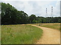 SY9992 : Path in Upton Country Park, near Poole by Malc McDonald