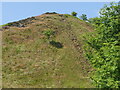 NT2067 : Pigeon hole erosion, Torduff Hill by Richard Webb