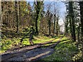 SO5797 : Tracks at Wenlock Edge by Mat Fascione