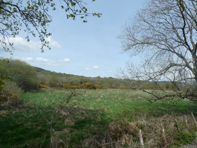 Marsh and scrub between railway and river, Vale of Rheidol Railway