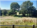 SK5507 : A farm access crossing the old line of Gynsill Lane by Ian Calderwood