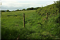 ST6703 : Roadside field near Pit Plantation by Derek Harper