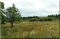 NS3560 : Rough grassland by Richard Sutcliffe