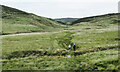 SD9661 : Walkers crossing Linton Moor by Trevor Littlewood