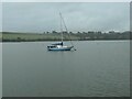 SX4462 : Moored yacht, River Tamar by Christine Johnstone