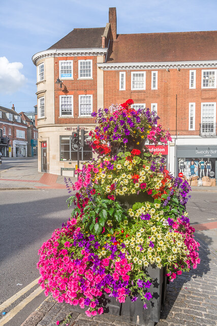 Floral display