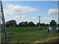 SE5811 : Maize field at Blacker Green by M J Richardson