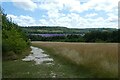 TQ5263 : Path to the picnic area by DS Pugh