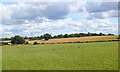 TL0200 : Flat Chiltern landscape between Flaunden-Sarratt by David Kemp