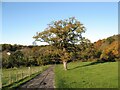 NY3642 : Bridleway near Bell Bridge by Adrian Taylor