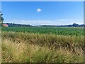 SK9572 : Arable field beside the Fossdyke Navigation by Graham Robson