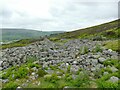 SE0298 : Maiden Castle, Swaledale (3) by Stephen Craven