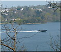 SH5672 : Speedboat on the Menai Strait by Mat Fascione