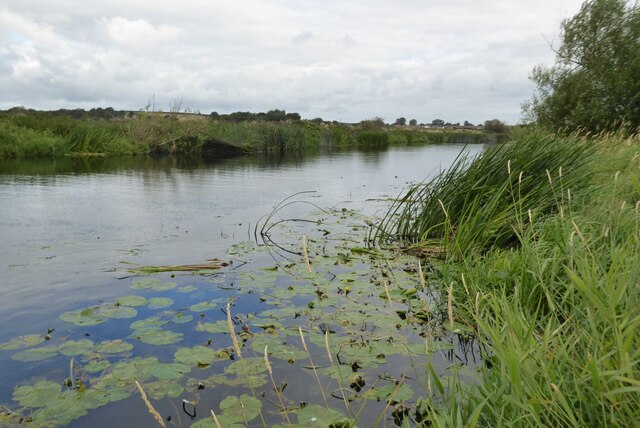 River Avon near Marlcliff