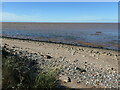 TA4113 : Brick and concrete rubble, Humber foreshore by Christine Johnstone