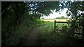 TF1407 : Footpath alongside the A15 Glinton and Northborough bypass near Etton by Paul Bryan