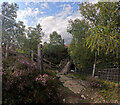  : Wooden Footbridge by Karl Peet