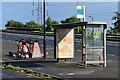 SU3912 : Bus shelter beside the A33, for Millbrook Station by David Martin