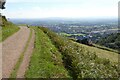 SO7646 : Mowing the slope below Lady Howard De Walden Drive by Philip Halling