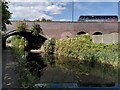 SP0988 : Saltley Viaduct crosses the Grand Union Canal by A J Paxton