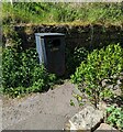 SO2508 : Litter bin surrounded by weeds in May 2023, Blaenavon by Jaggery