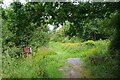 TM2019 : Entering Holland Mill Wood by Glyn Baker