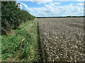 SE3940 : Footpath along the edge of a wheatfield by Christine Johnstone