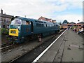 SO8376 : Western Champion running round at Kidderminster by Chris Allen