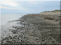 SH5623 : Beach at Morfa Dyffryn, near Dyffryn Ardudwy by Malc McDonald