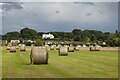 SO9137 : Hay bales in Twyning Meadow by Philip Halling