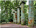 SE2754 : Doric Columns (the Folly) by David Dixon