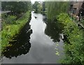 O1632 : The Grand Canal in Dublin by Marathon