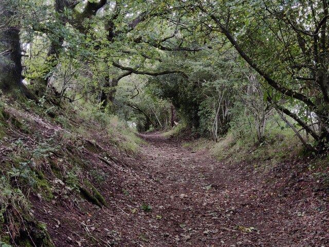 North Worcestershire Path at the Waseley Hills Country Park