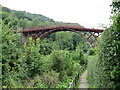 SJ6703 : Path at Ironbridge by Malc McDonald