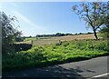 NZ0748 : Gateway to field south of church bank by Robert Graham