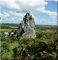 SW9959 : Roche - Chunky minor monolith to north of main rock by Rob Farrow