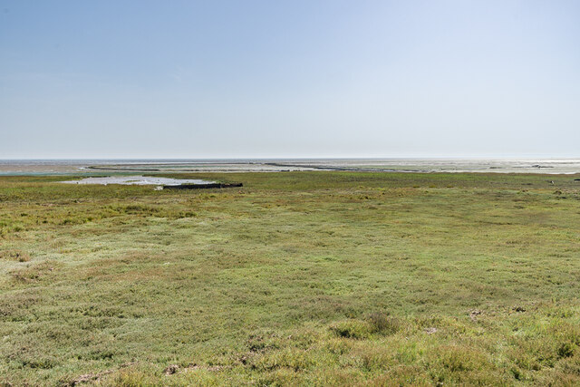 Saltmarsh, Asplin's Head