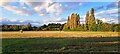 TM4261 : Field north of School Road, Knodishall by Christopher Hilton