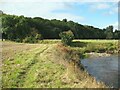 NY3644 : Path beside the River Caldew by Adrian Taylor