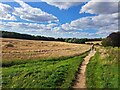 TM3864 : Path west from Carlton church by Helena Hilton