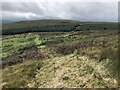 NT3712 : Girnwood Hill seen from Byrelee Hill by Richard Webb