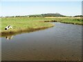 NX0881 : Saltmarsh pool by Jonathan Wilkins