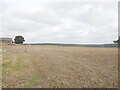 TG3029 : Arable landscape with Bacton Wood in distance by David Pashley