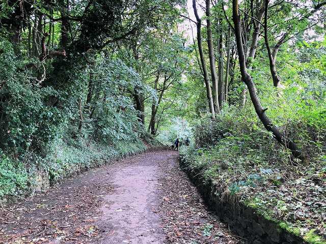 Footpath at Danes Dyke LNR