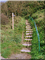 TA2169 : Steps on Headland Way at Danes Dyke by David Dixon