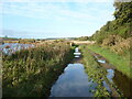 NS9838 : Puddles on track by the Clyde by Alan O'Dowd