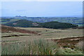 NT3927 : Valley of the Newark Burn, Bowhill Estate by Jim Barton