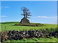 SK2859 : Ruined field barn by Ian Calderwood